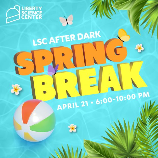 The flyer looks like a water background. There are palm trees framing the top right and bottom right corners. In the middle is the information in white, orange and yellow lettering . There are flowers and some butterflies scattered around with a beach ball in the lower left corner.